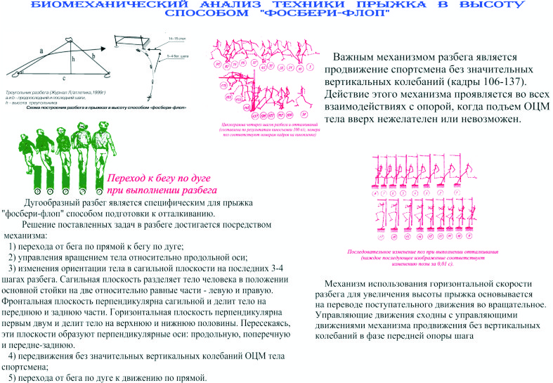 Анализ техники. Анализы плакат. Схема биомеханического анализа неустойчивой рабочей позы сидя. Педагогический и биомеханический контроль за техникой движений. Биомеханические постулаты йоркских терьеров.